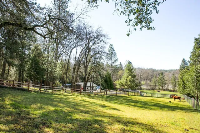 a view of yard with swimming pool and trees