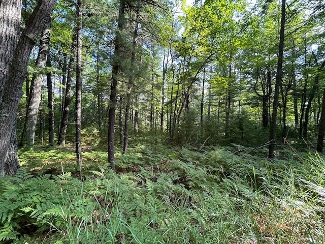 On Zeman Road Eagle River, WI 54521 - Photo 2 of 10 Gallery Image 2