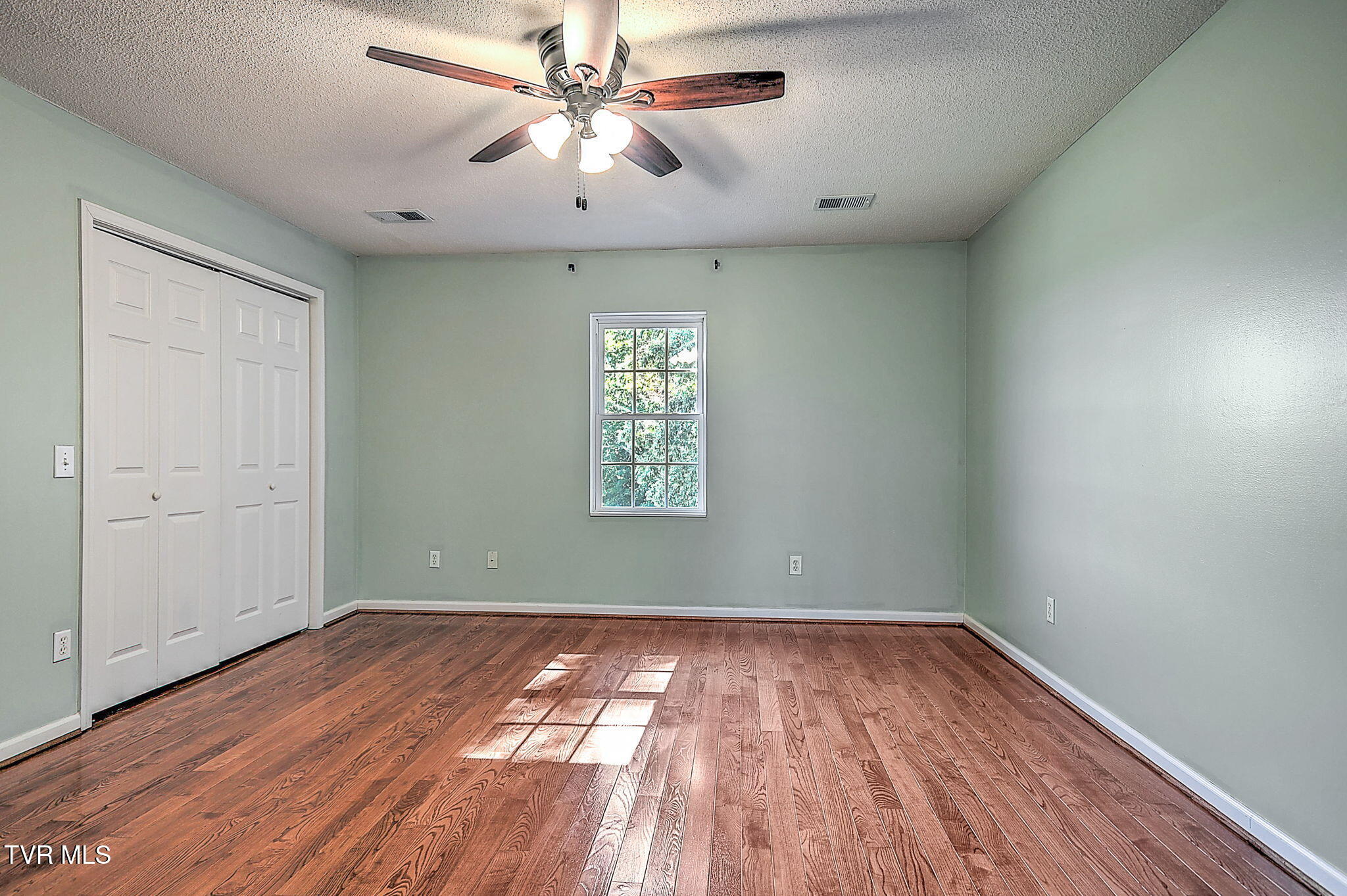 152 Painter Road Fall Branch, TN 37656 - Photo 15 of 32 29-web-or-mls-153 Painter TM-29