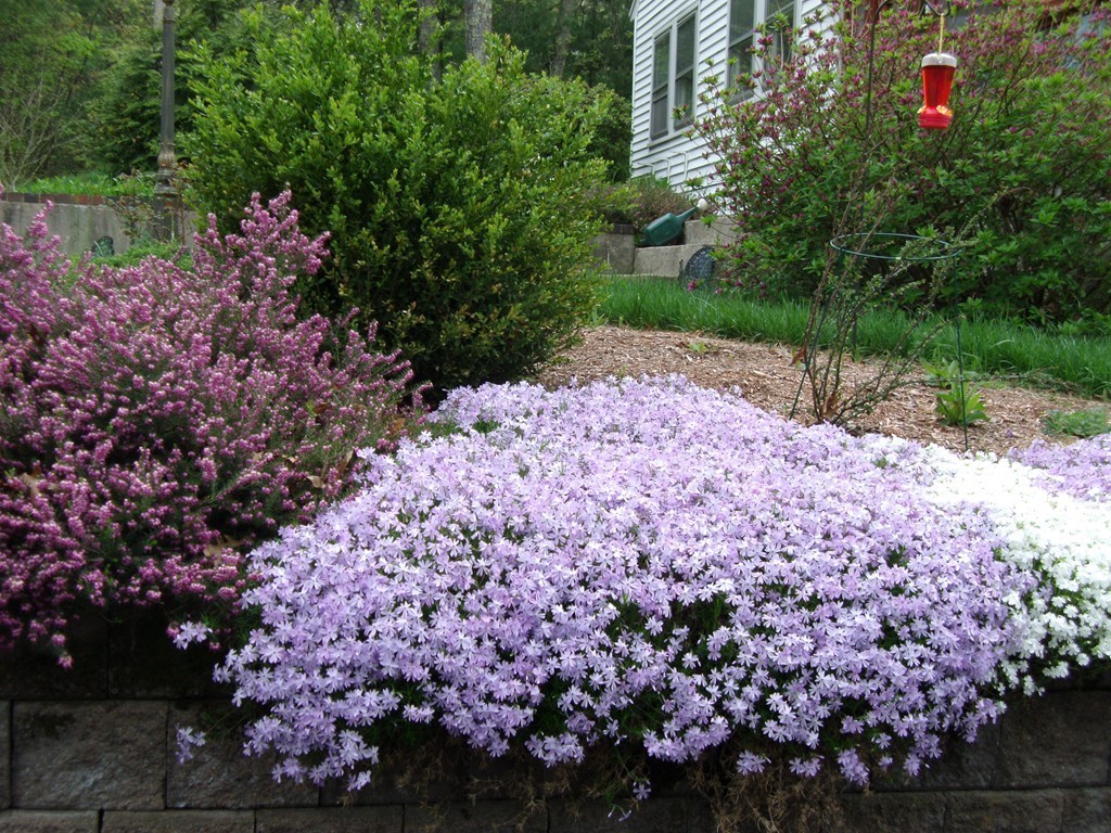 5 Larson Road Wilmington, MA 01887 - Photo 25 of 30 Gallery Image 25