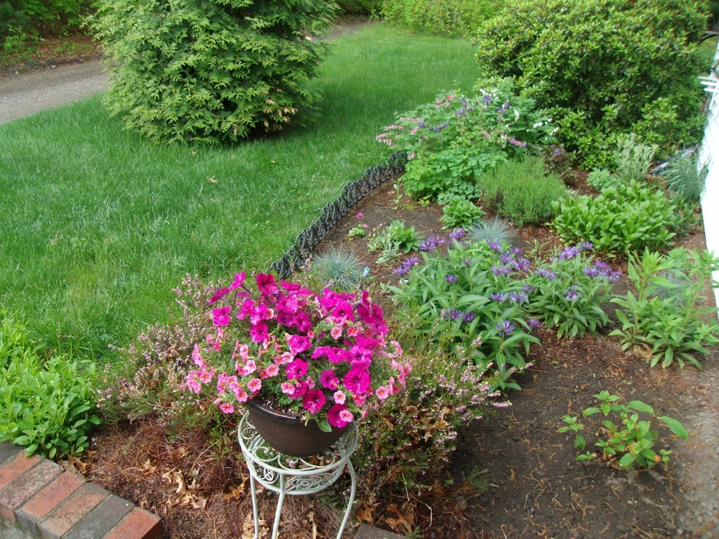 5 Larson Road Wilmington, MA 01887 - Photo 27 of 30 Gallery Image 27