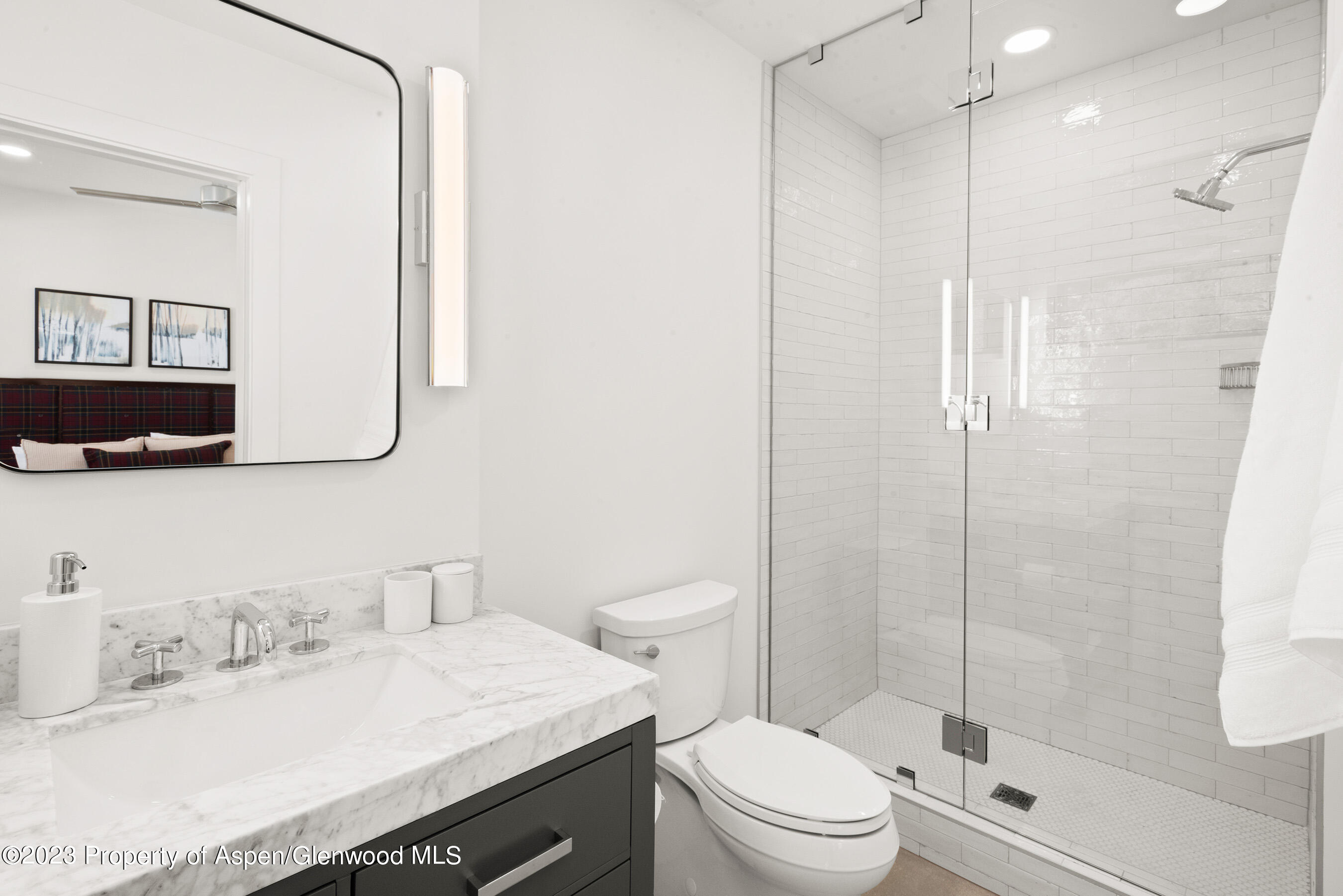 22842 Two Rivers Road, Unit 100 Basalt, CO 81621 - Photo 19 of 22 a bathroom with a sink a toilet and shower