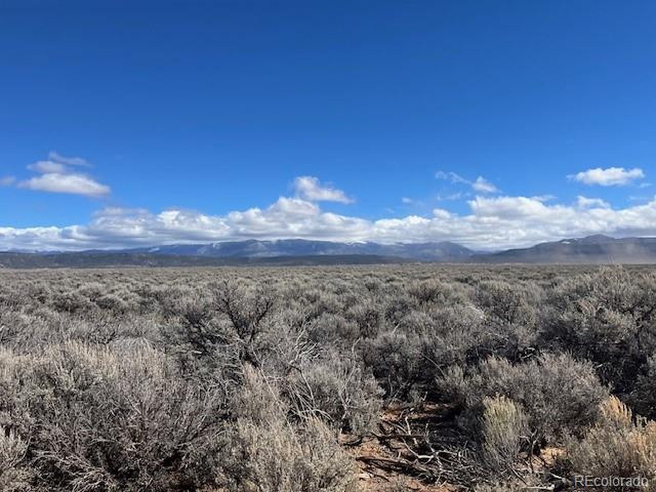 12 County Road East San Luis, CO 81152 - Photo 8 of 12 a view of a yard