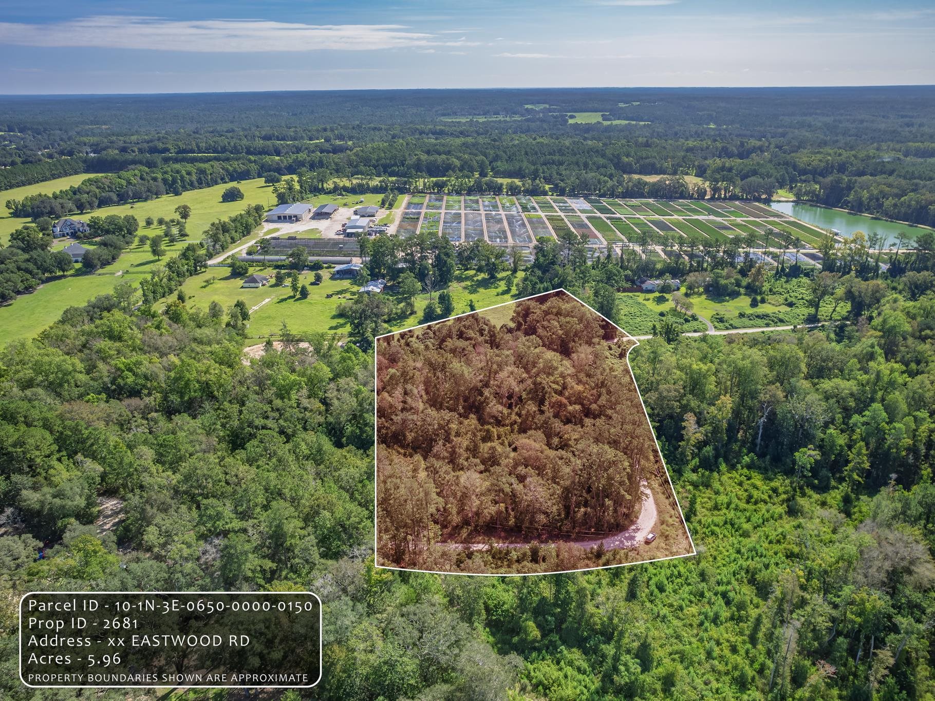 Eastwood Road Monticello, FL 32344 - Photo 1 of 20 Gallery Image 1