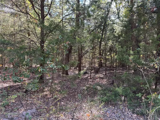 $15,000 | 145 Kiowa Drive, Mabank, TX 75156