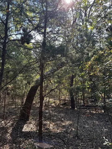 $15,000 | 145 Kiowa Drive, Mabank, TX 75156