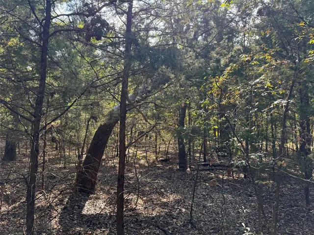 $15,000 | 145 Kiowa Drive, Mabank, TX 75156