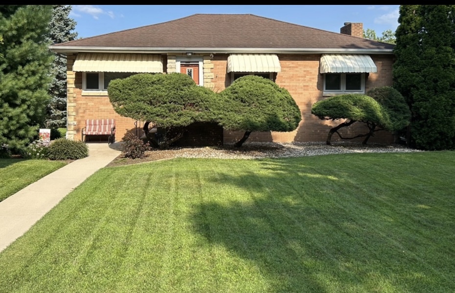 460 South Winfield Avenue Kankakee, IL 60901 - Photo 1 of 28 a view of a house with a yard and plants