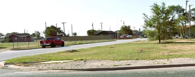 a view of a park with large trees
