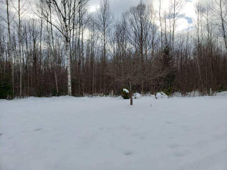 6176 Indian Reserve Road Alpena, MI 49707 - Photo 14 of 17 Gallery Image 14