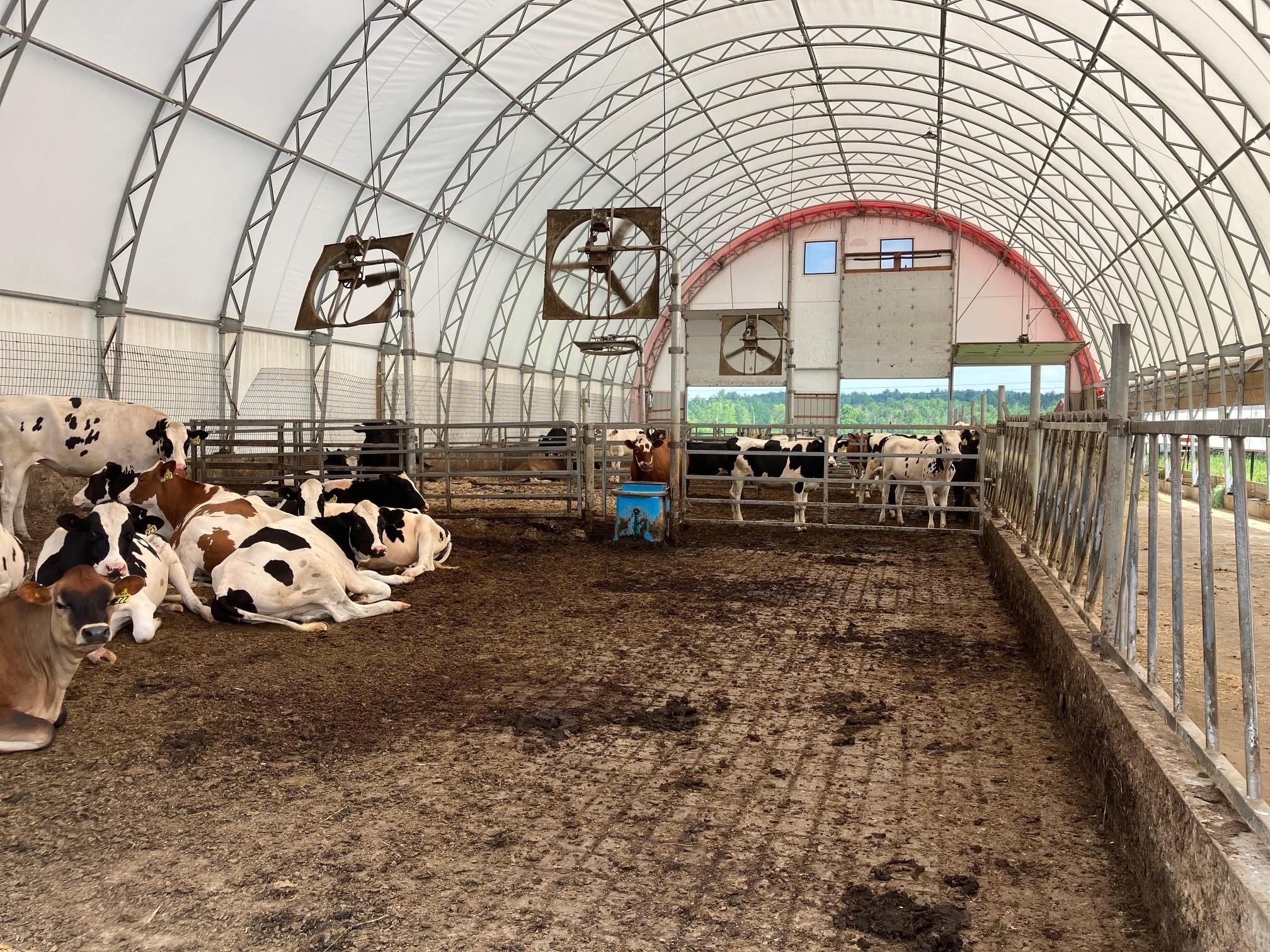 4051VT Vermont Rte 100 Troy, VT 05859 - Photo 21 of 39