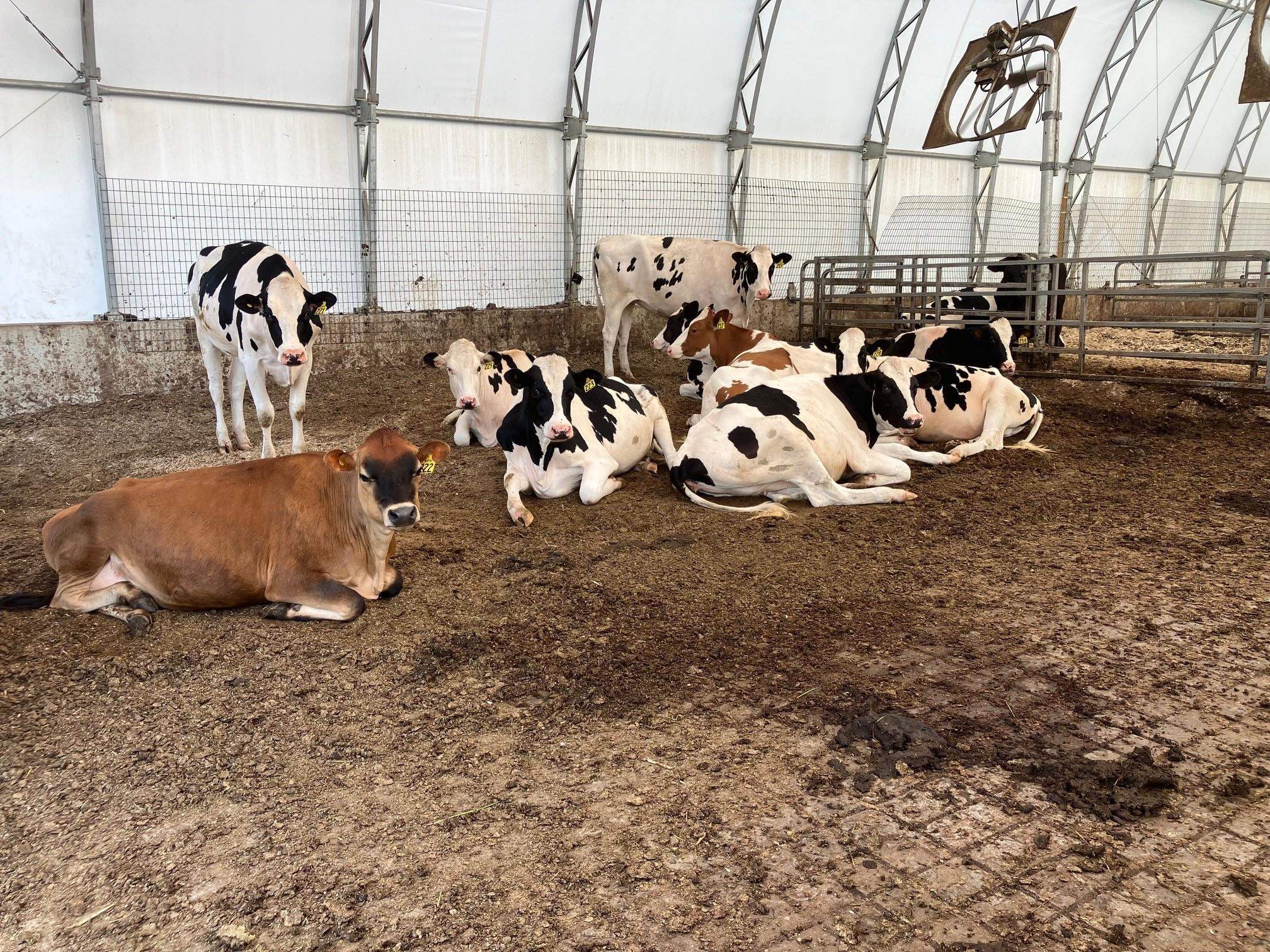 4051VT Vermont Rte 100 Troy, VT 05859 - Photo 22 of 39