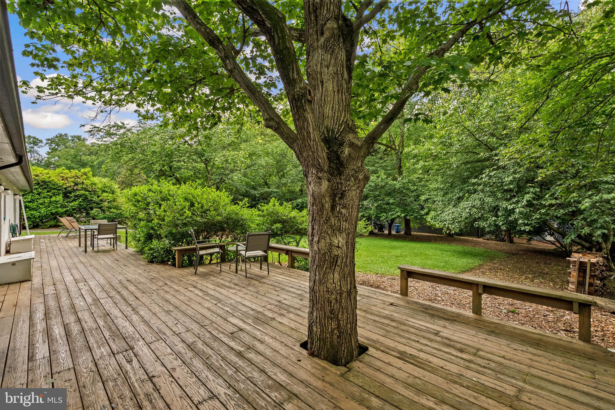 15708 Thompson Road Silver Spring, MD 20905 - Photo 36 of 41 10x70 Deck
