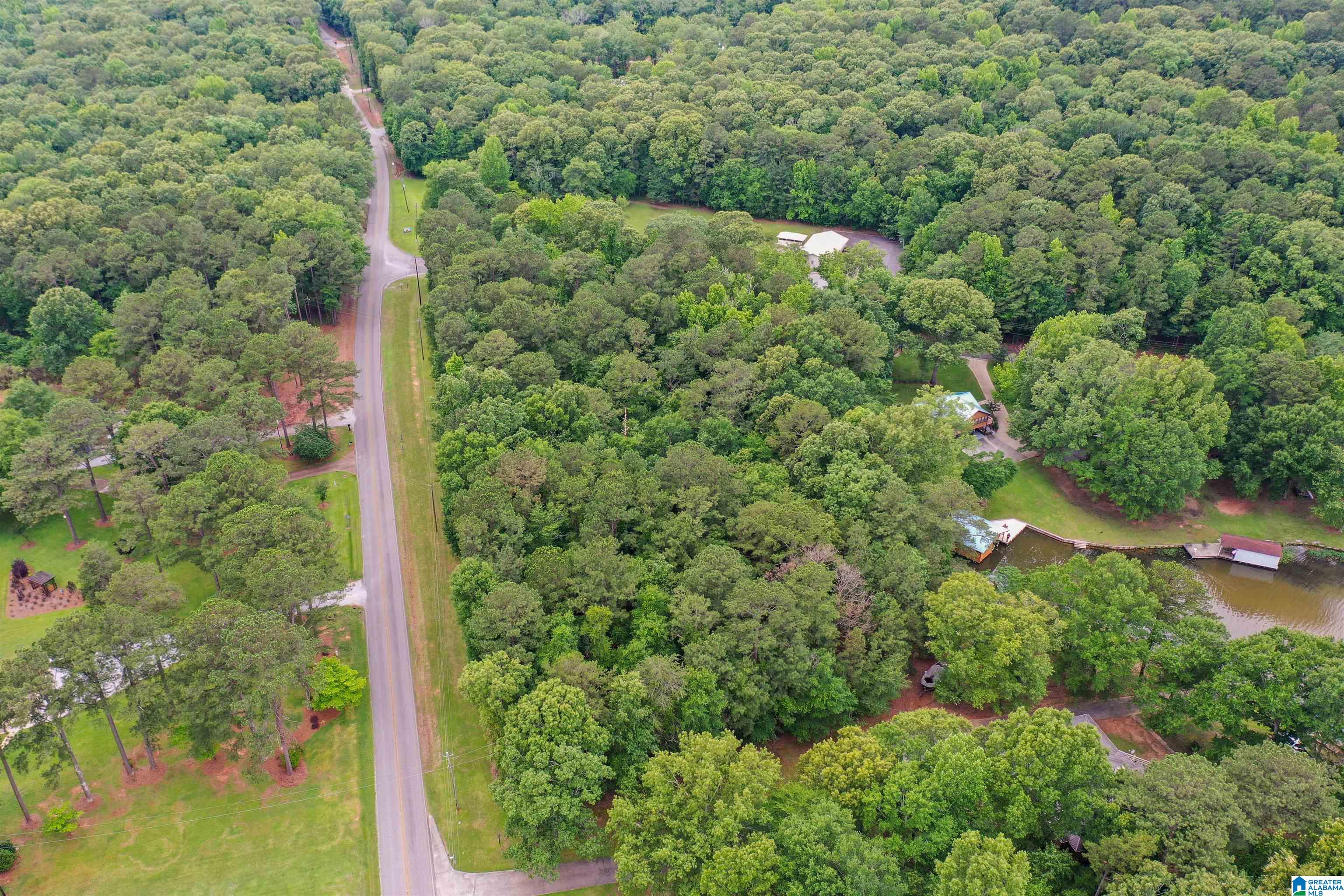 Marina Road Shelby, AL 35143 - Photo 10 of 18