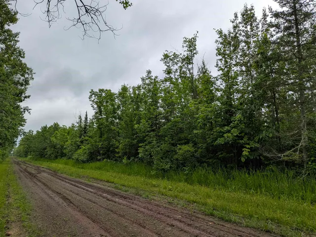 $120,000 | 80-acres On County Line Road, Brule, WI 54820