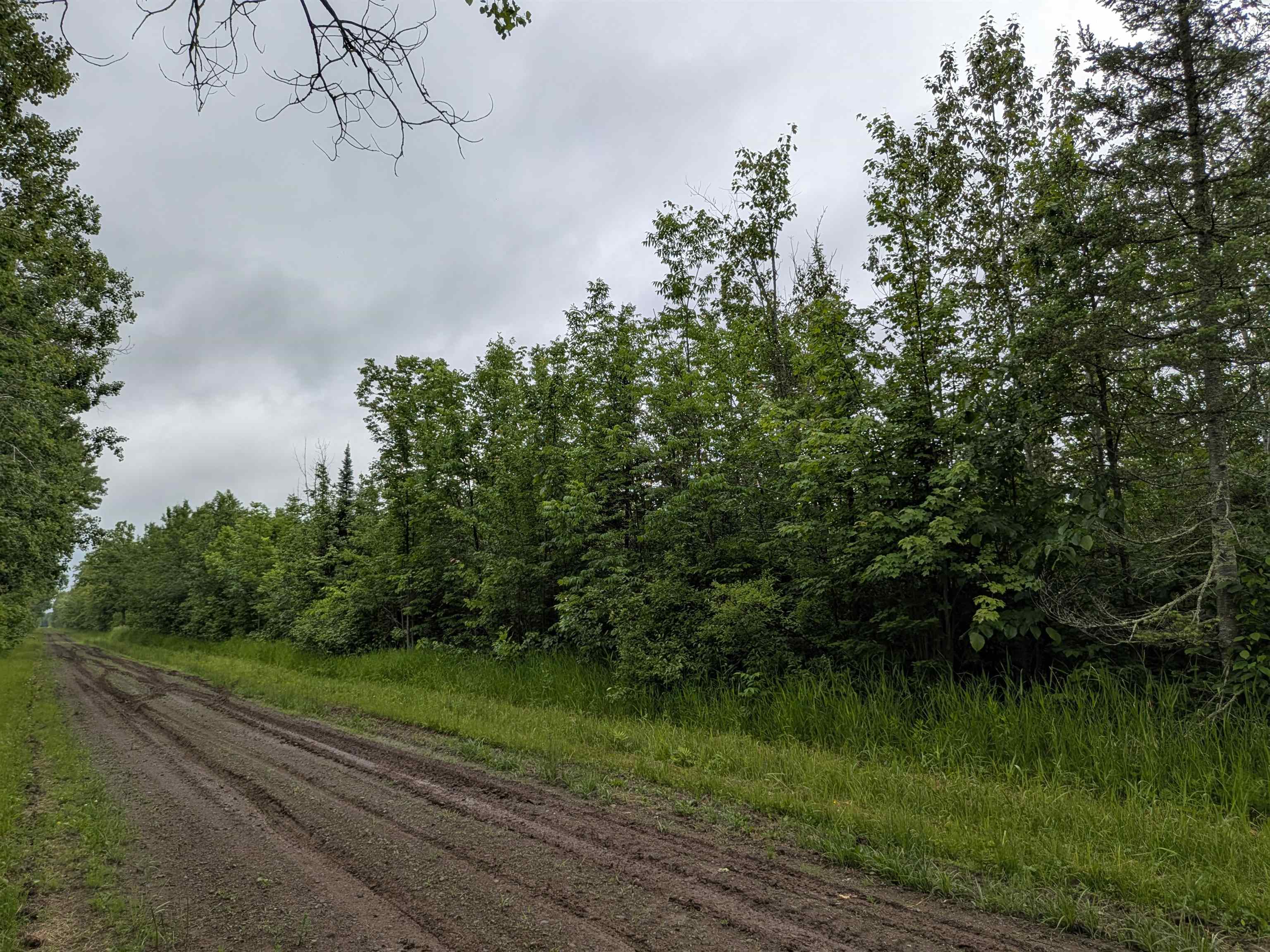 80-acres On County Line Road Brule, WI 54820 - Photo 2 of 10 View of dirt / gravel road with a wooded view