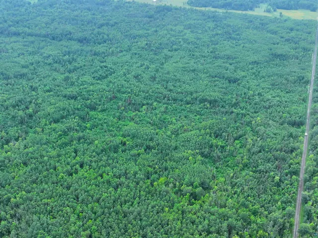 $120,000 | 80-acres On County Line Road, Brule, WI 54820