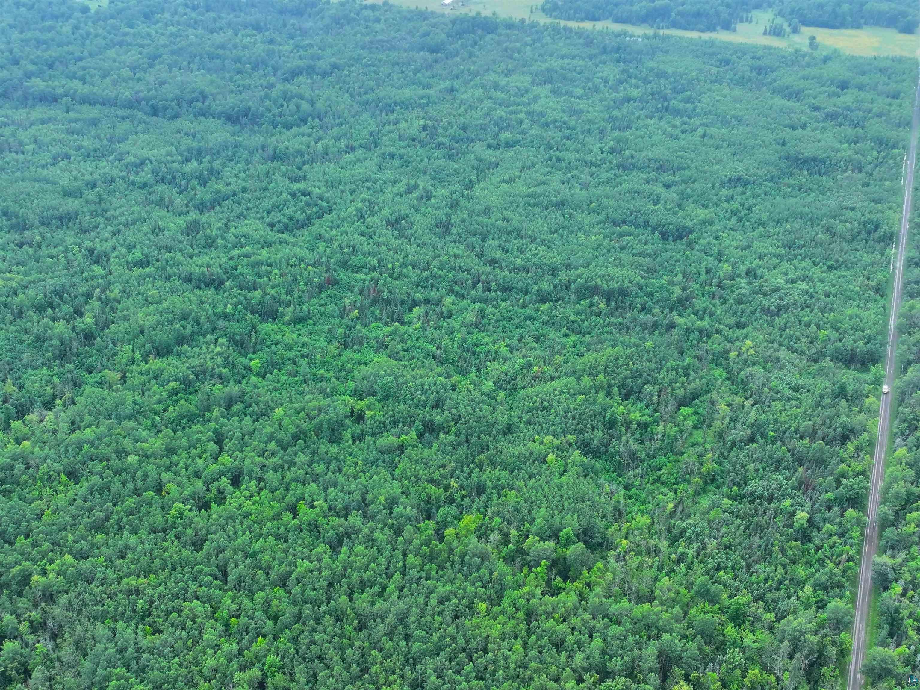 80-acres On County Line Road Brule, WI 54820 - Photo 9 of 10 Aerial view of a forest
