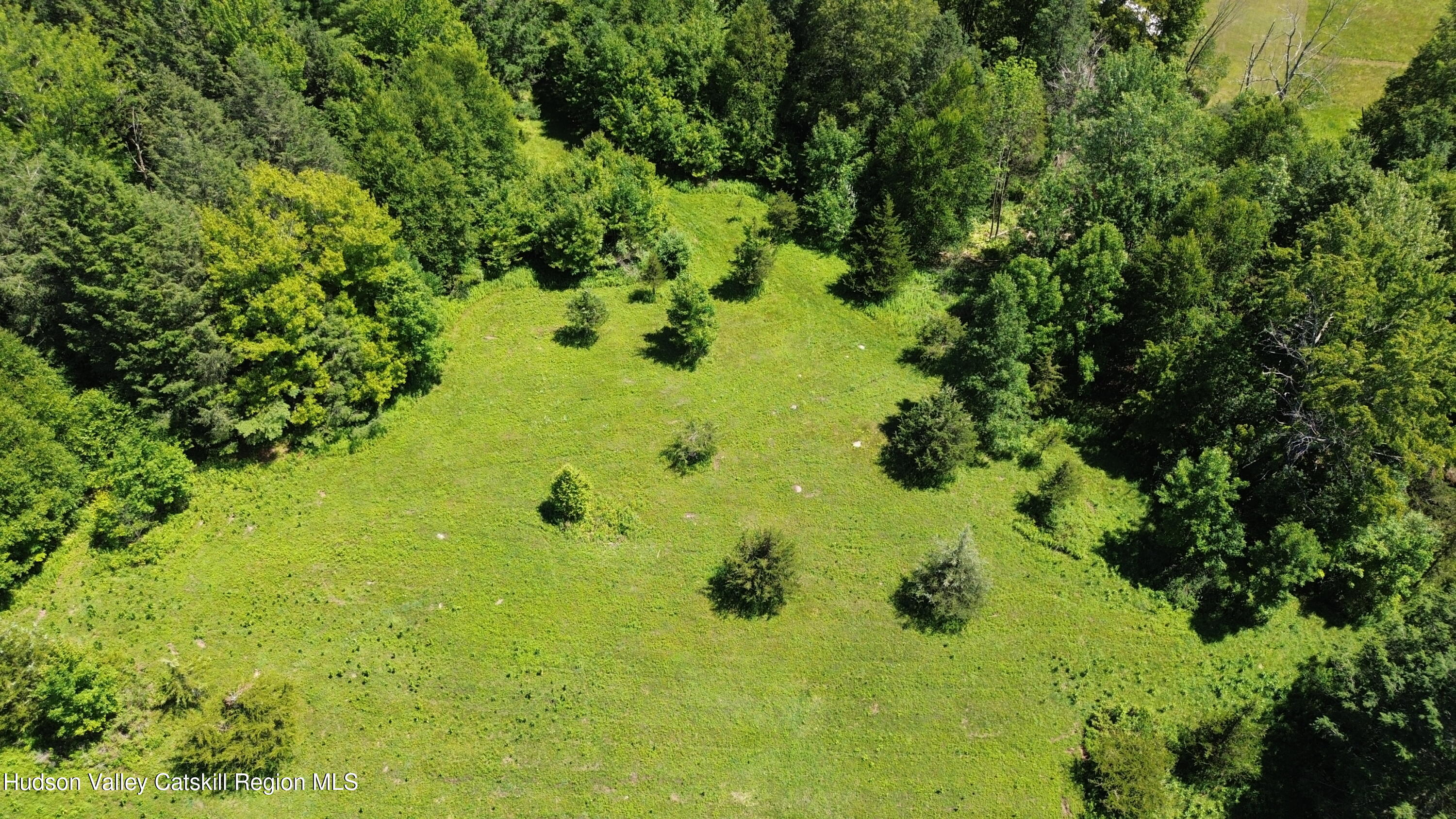 0 Van Etten Road Prattsville, NY 12468 - Photo 4 of 34 DJI_0742