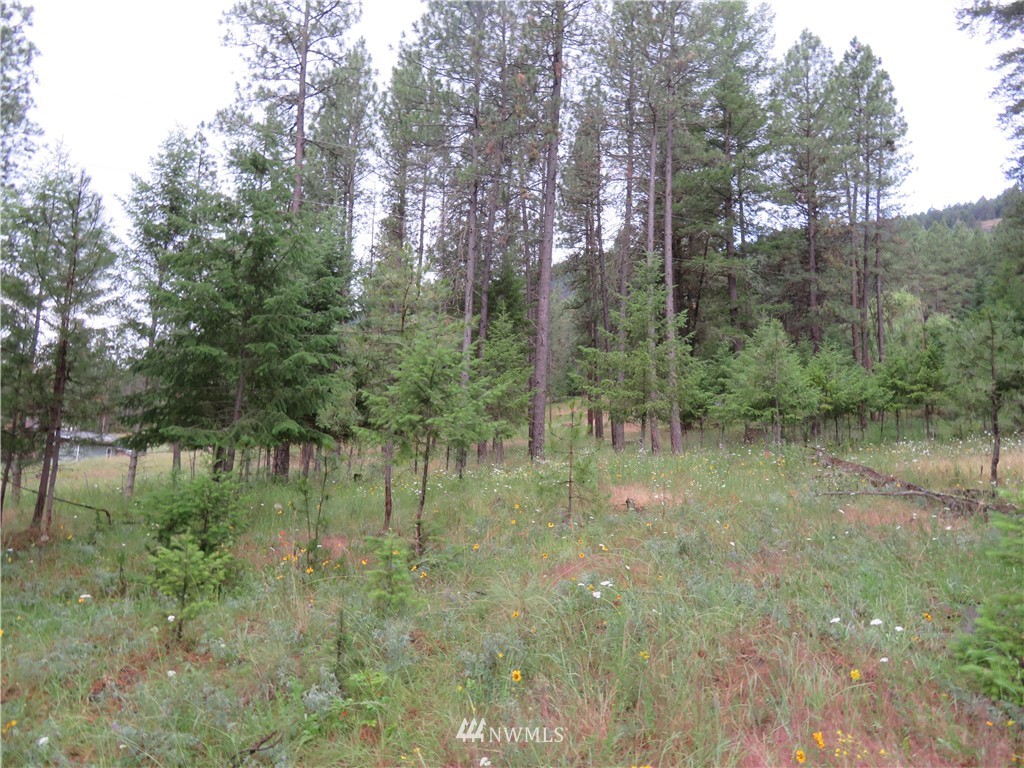 20 Kroupa Road Curlew, WA 99118 - Photo 1 of 11 Gallery Image 1
