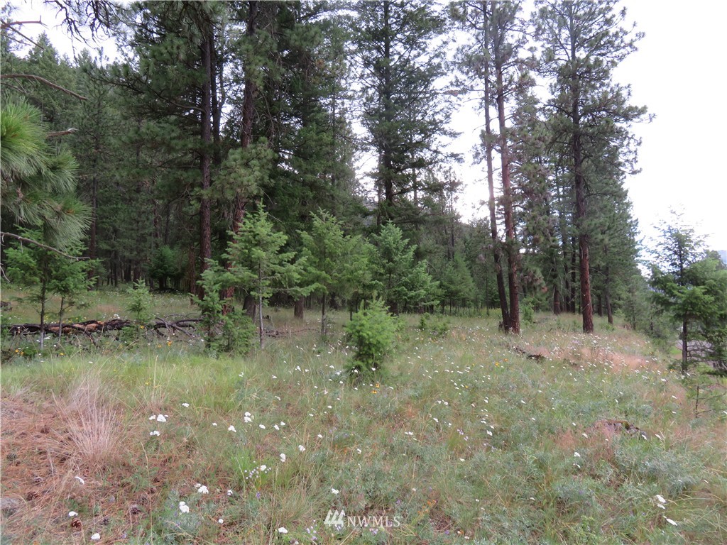 20 Kroupa Road Curlew, WA 99118 - Photo 2 of 11 Gallery Image 2