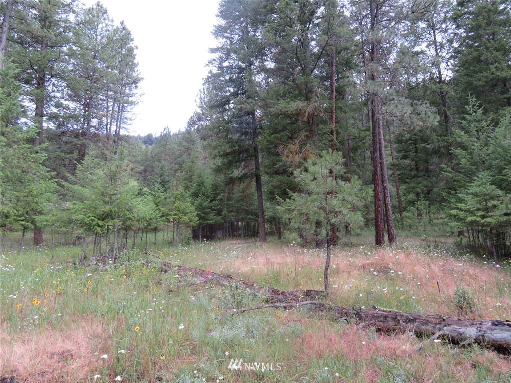 20 Kroupa Road Curlew, WA 99118 - Photo 11 of 11 Gallery Image 11