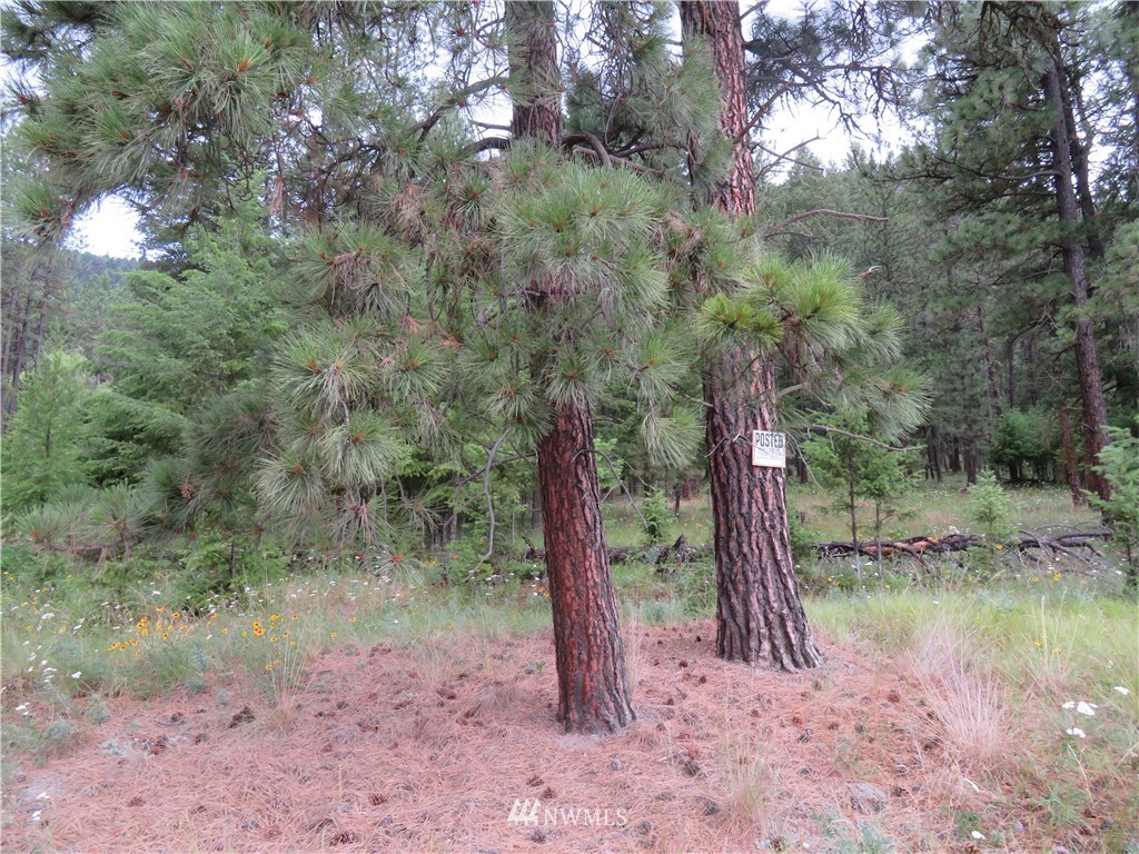 20 Kroupa Road Curlew, WA 99118 - Photo 3 of 11 Gallery Image 3