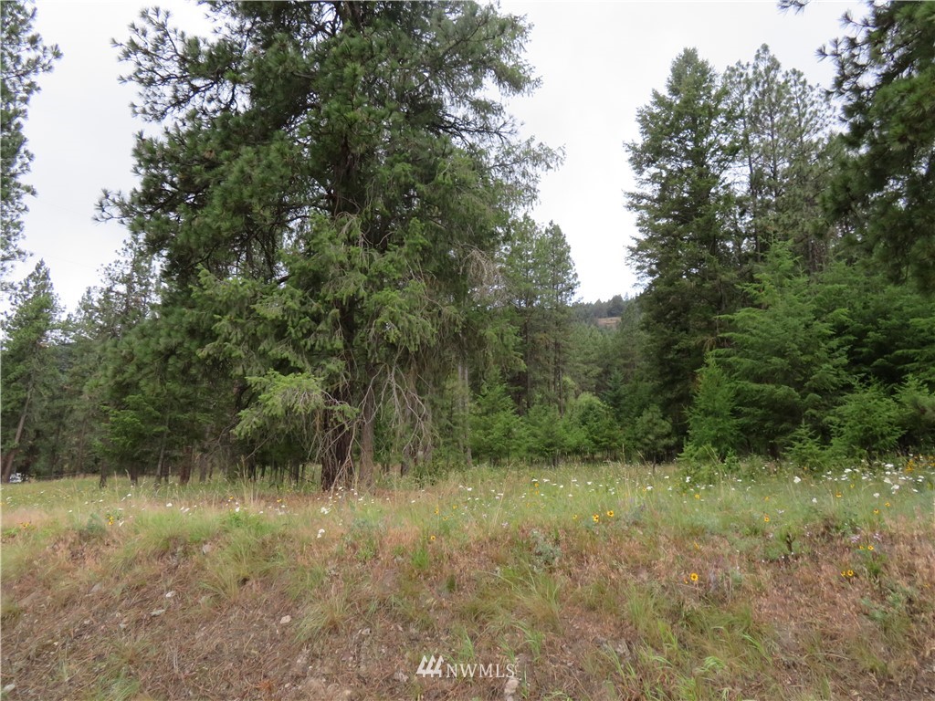 20 Kroupa Road Curlew, WA 99118 - Photo 4 of 11 Gallery Image 4