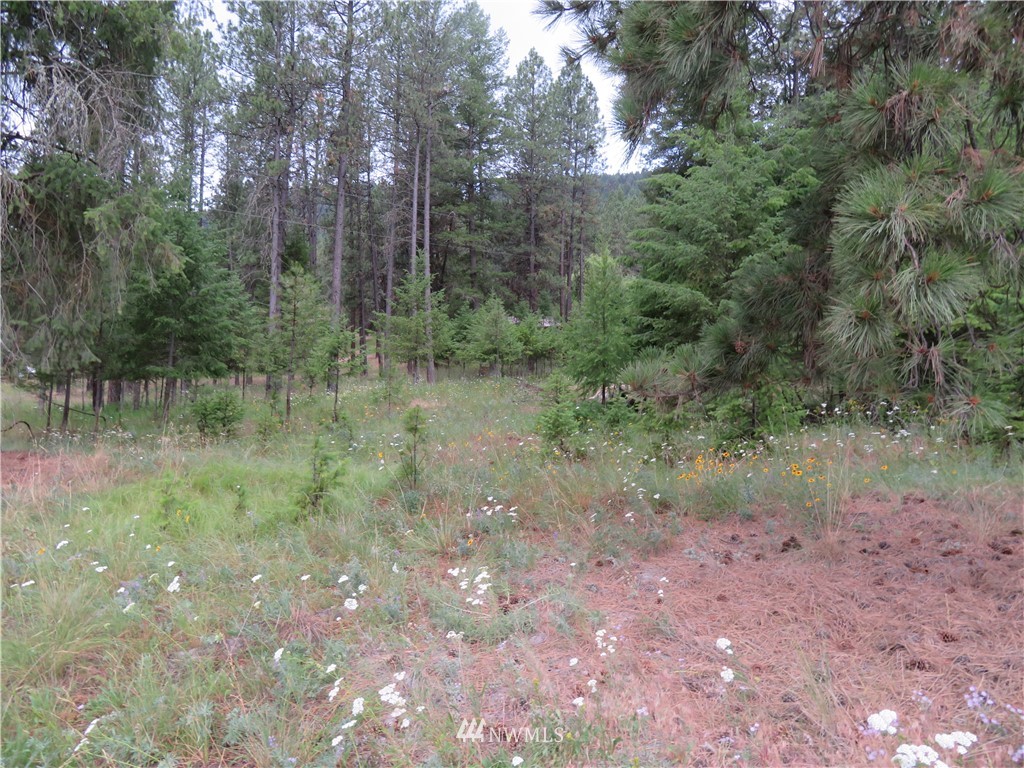20 Kroupa Road Curlew, WA 99118 - Photo 5 of 11 Gallery Image 5