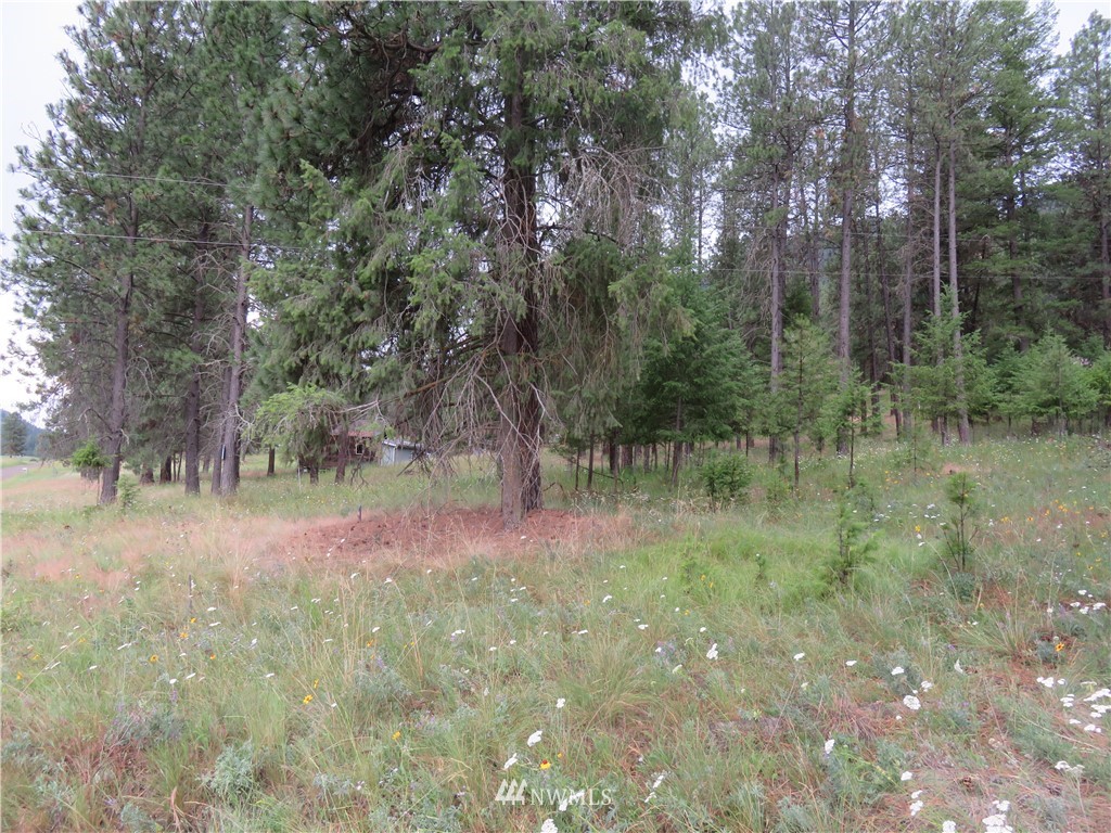 20 Kroupa Road Curlew, WA 99118 - Photo 6 of 11 Gallery Image 6