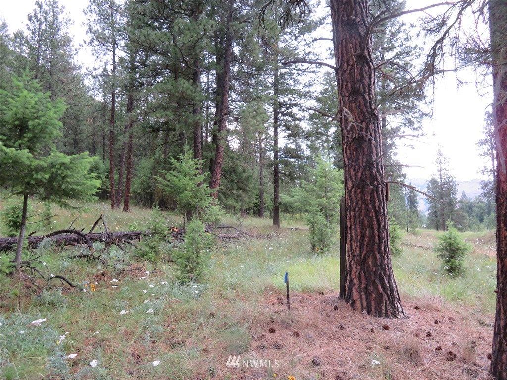 20 Kroupa Road Curlew, WA 99118 - Photo 7 of 11 Gallery Image 7