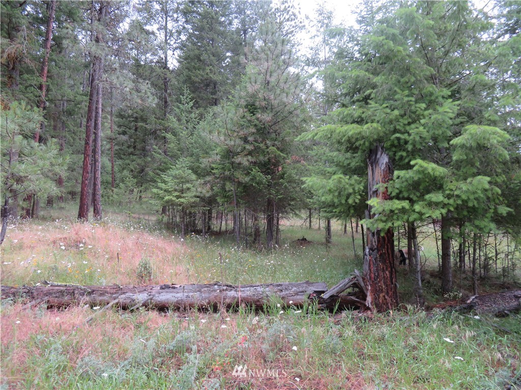 20 Kroupa Road Curlew, WA 99118 - Photo 10 of 11 Gallery Image 10
