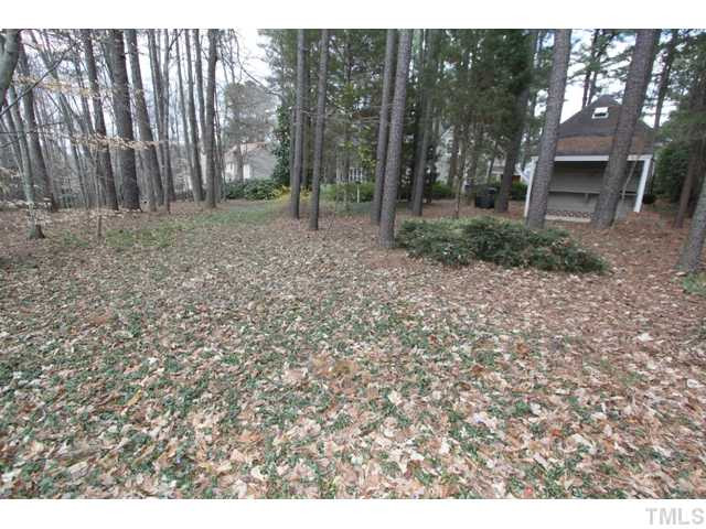 7205 Catamount Court North Raleigh, NC 27615 - Photo 19 of 19 Yard