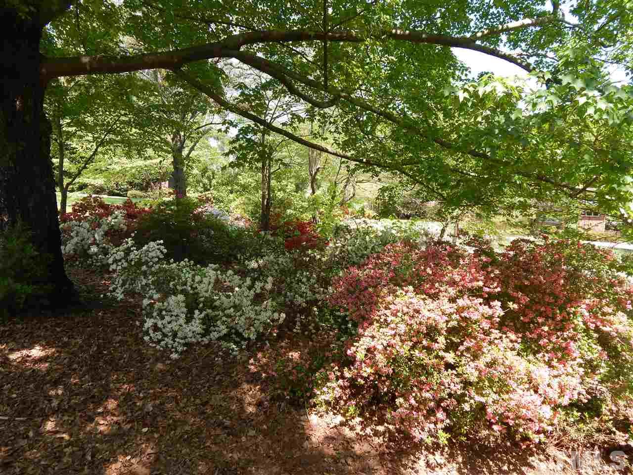 244 South Selma Road Wendell, NC 27591 - Photo 8 of 21 Gallery Image 8