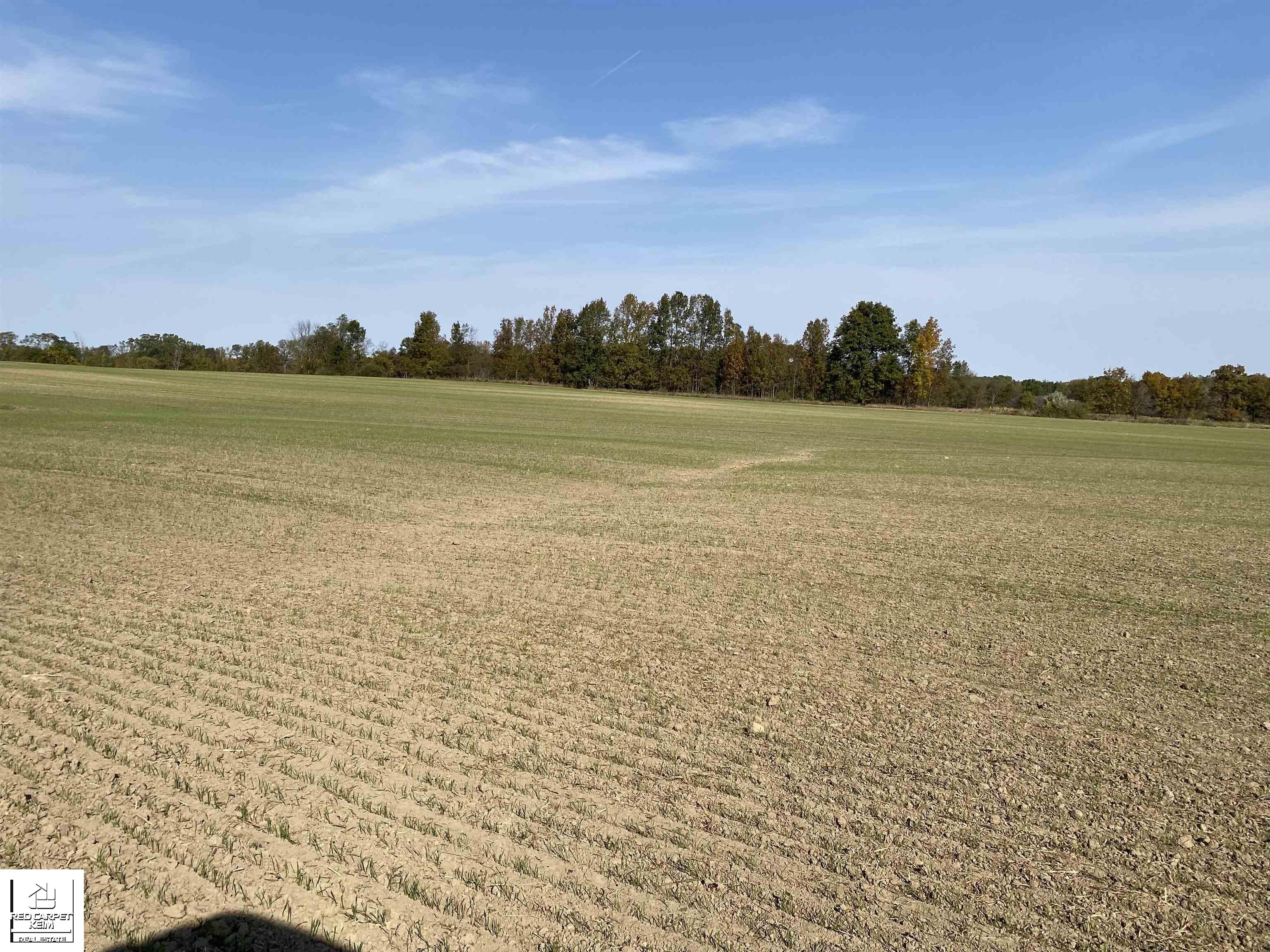 3838 Le Valley Road Columbiaville, MI 48421 - Photo 4 of 20 Gallery Image 4