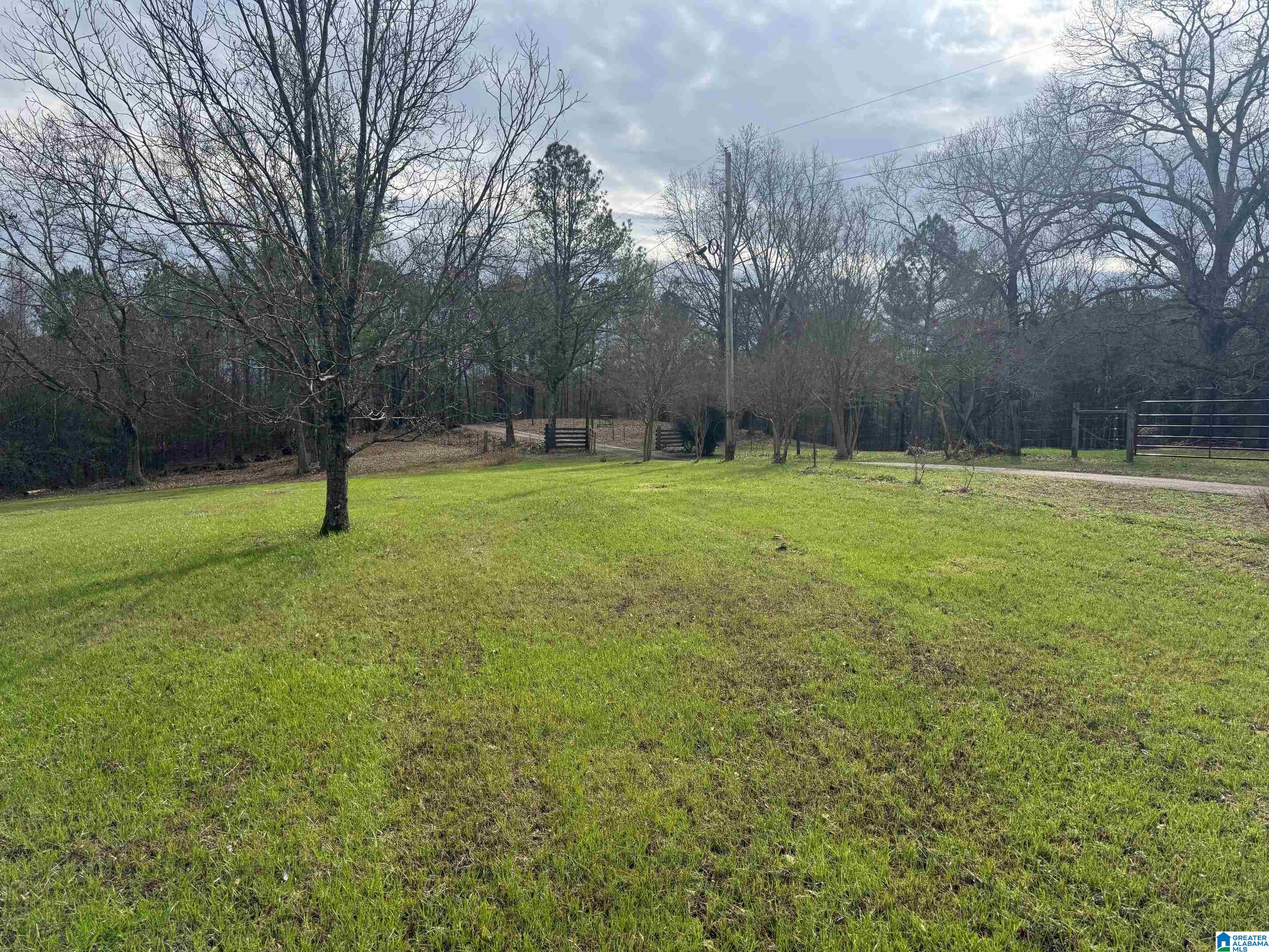 3953 Logan Martin Dam Road Cropwell, AL 35054 - Photo 62 of 99