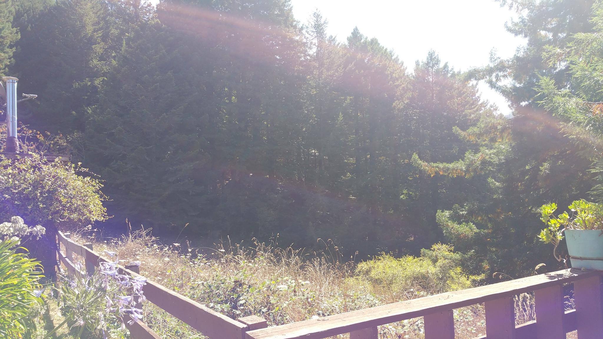 8441 Elk River Road Eureka, CA 95503 - Photo 77 of 82