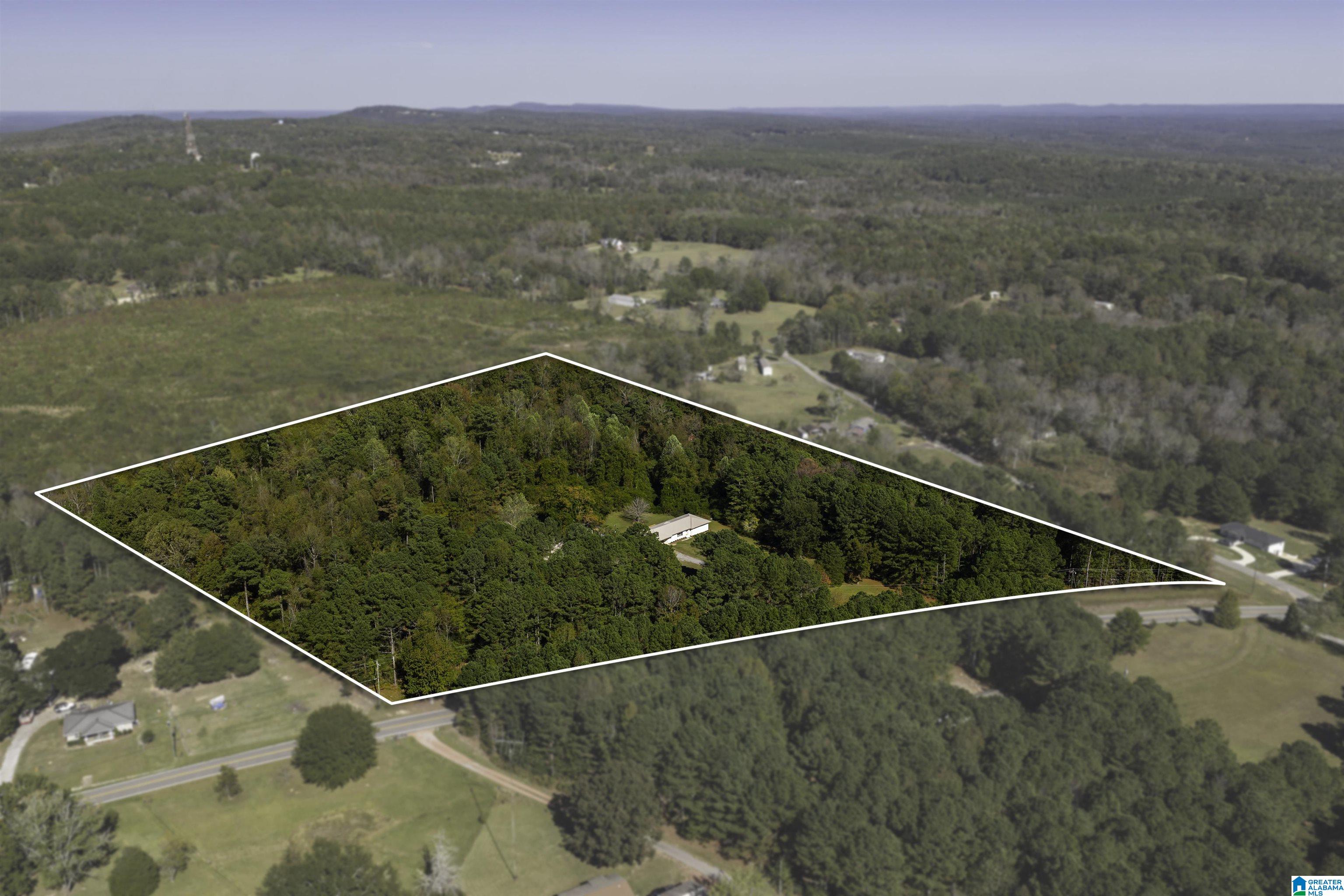 9389 Central Road Warrior, AL 35180 - Photo 34 of 42