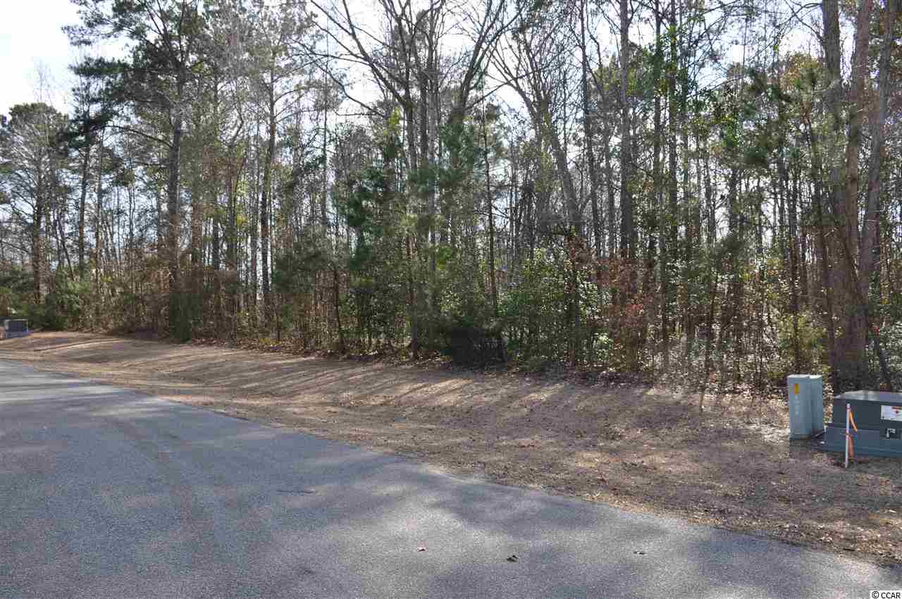Lot 5 West Pelican Road Little River, SC 29566 - Photo 2 of 15 Gallery Image 2