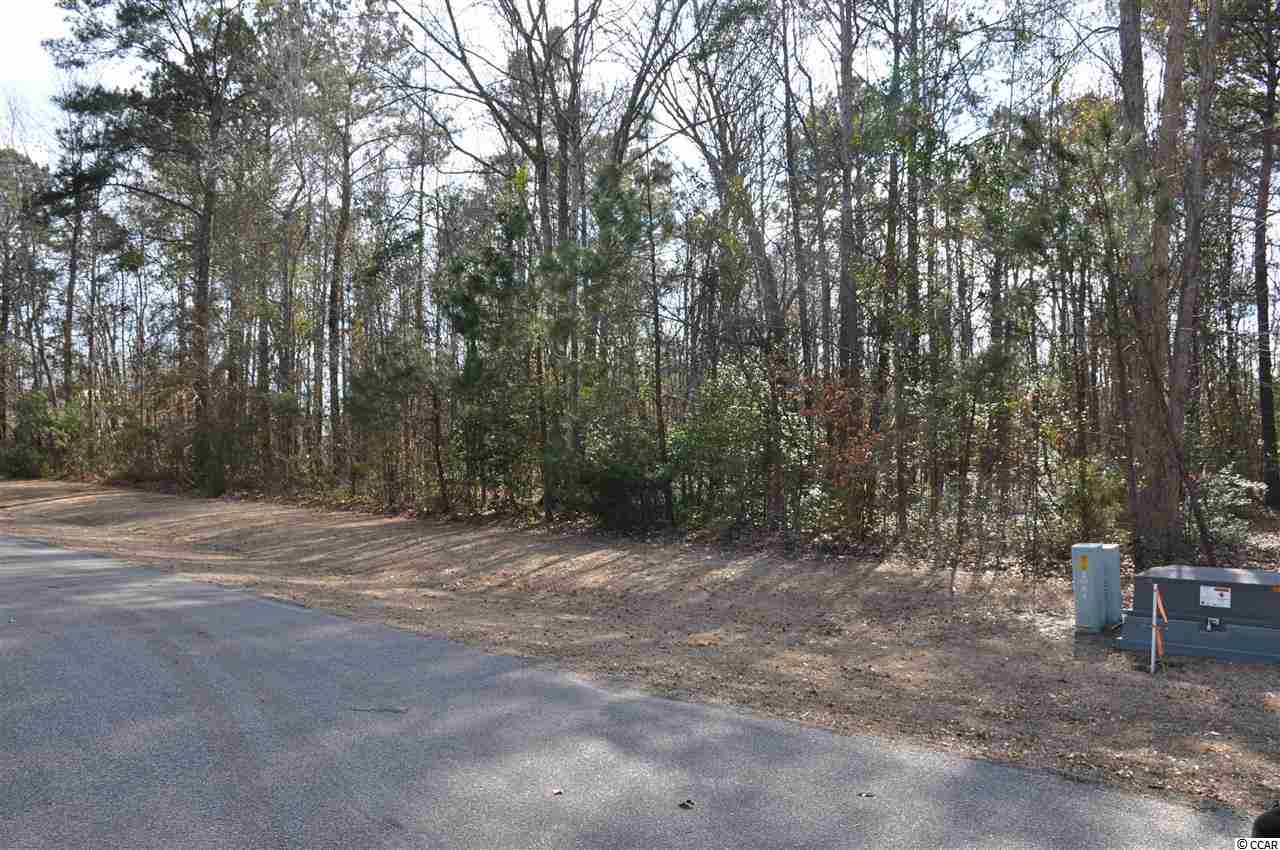 Lot 5 West Pelican Road Little River, SC 29566 - Photo 3 of 15 Gallery Image 3