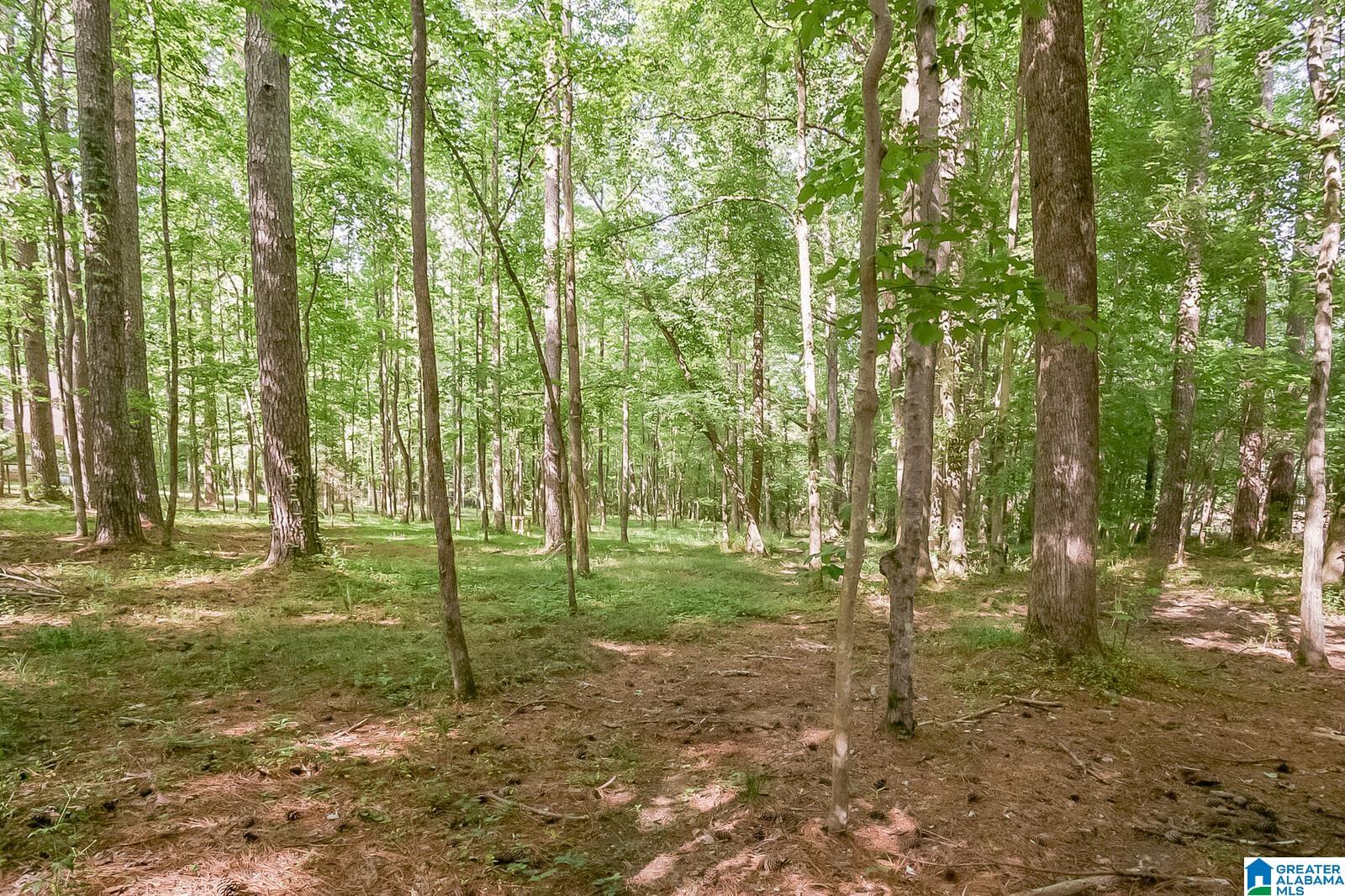 6867 Deer Haven Road Pinson, AL 35126 - Photo 39 of 50
