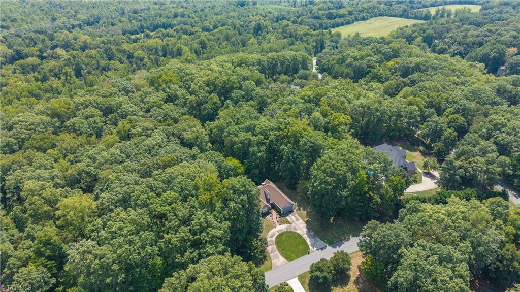 408 Deer Path Road Eden, NC 27288 - Photo 42 of 50 Gallery Image 42