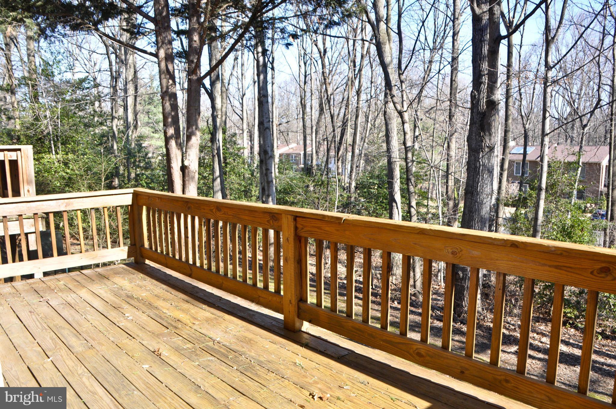 2303 Glade Bank Way Reston, VA 20191 - Photo 6 of 18 Exterior (Rear)