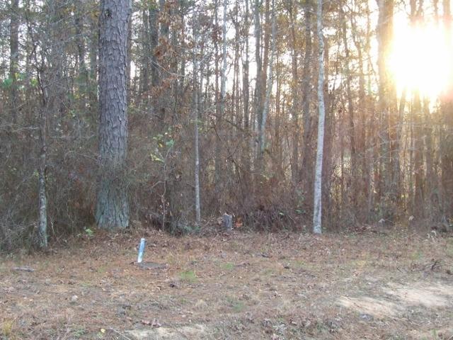 0 Goza Road, Unit 1 Fayetteville, GA 30215 - Photo 1 of 1 Property Front View