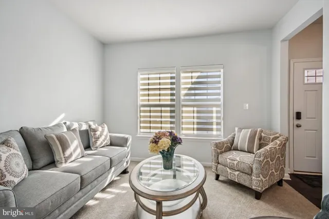 a living room with furniture or couch and a fireplace