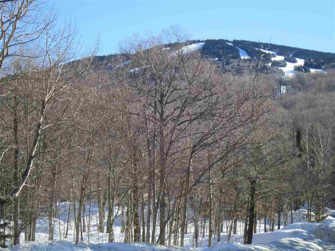 379 West Ridge Road South Londonderry, VT 05155 - Photo 2 of 18