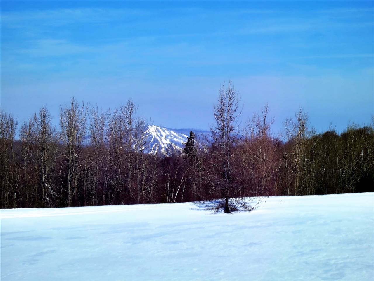 379 West Ridge Road South Londonderry, VT 05155 - Photo 16 of 18