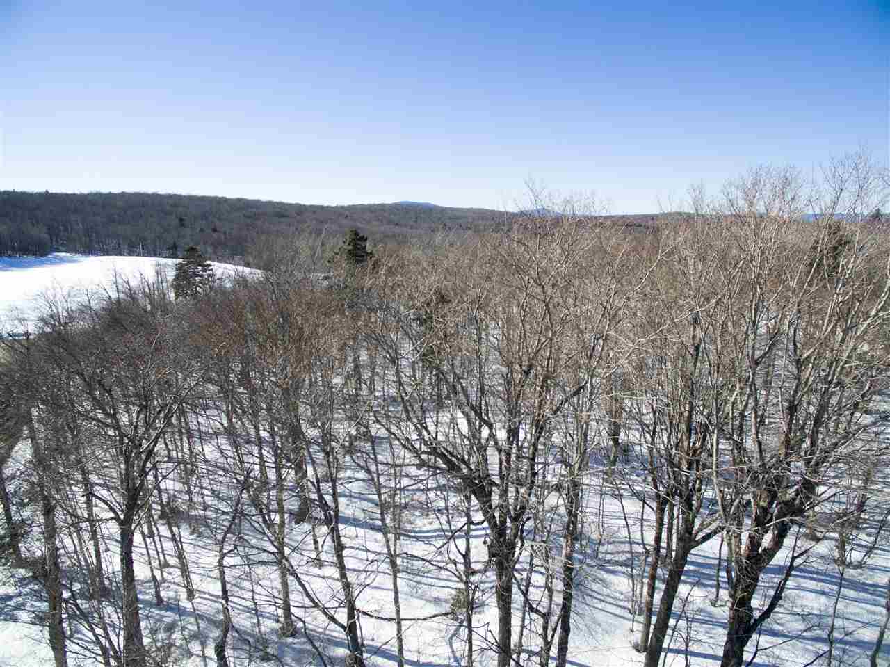 379 West Ridge Road South Londonderry, VT 05155 - Photo 3 of 18