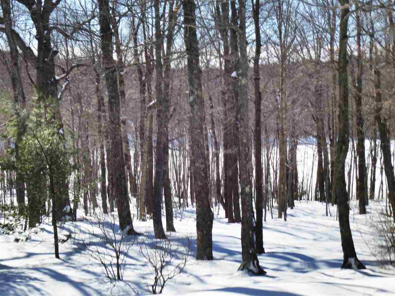 379 West Ridge Road South Londonderry, VT 05155 - Photo 4 of 18