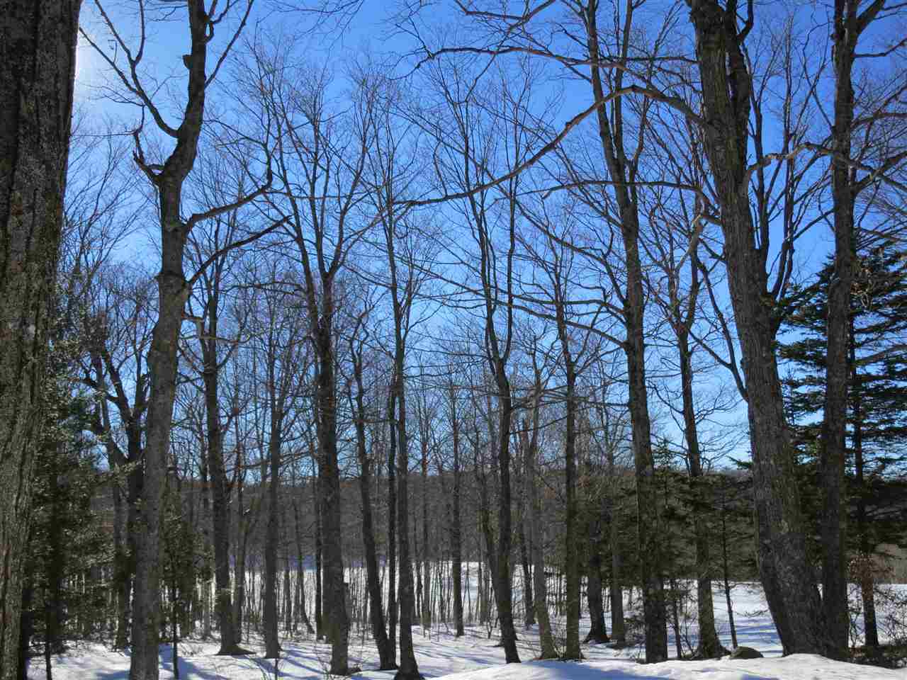 379 West Ridge Road South Londonderry, VT 05155 - Photo 5 of 18